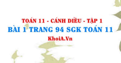 Bài 1 trang 94 SGK Toán 11 tập 1 Cánh Diều